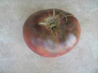 Ντομάτα σπορά φύτεμα καλλιέργεια  Tomato+Cheroke-Close