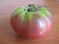 Ντομάτα σπορά φύτεμα καλλιέργεια  Tomato-Cherokee+Purple+1