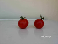Ντομάτα σπορά φύτεμα καλλιέργεια  Tomato-Stupice+2