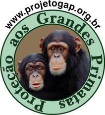 [Logo+GAP_valendo.bmp]