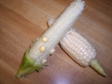 Corn crop 2009
