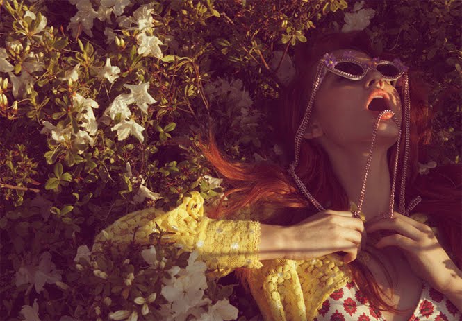 [Everyone+loves+Fashion.jpeg]