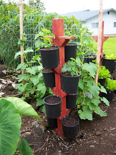 Best Vertical Garden