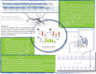 Neuroscience Posters