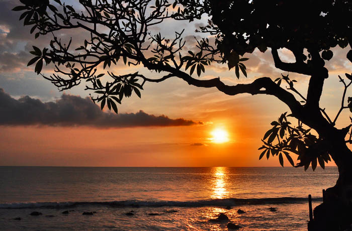 Sunset  Between Tree