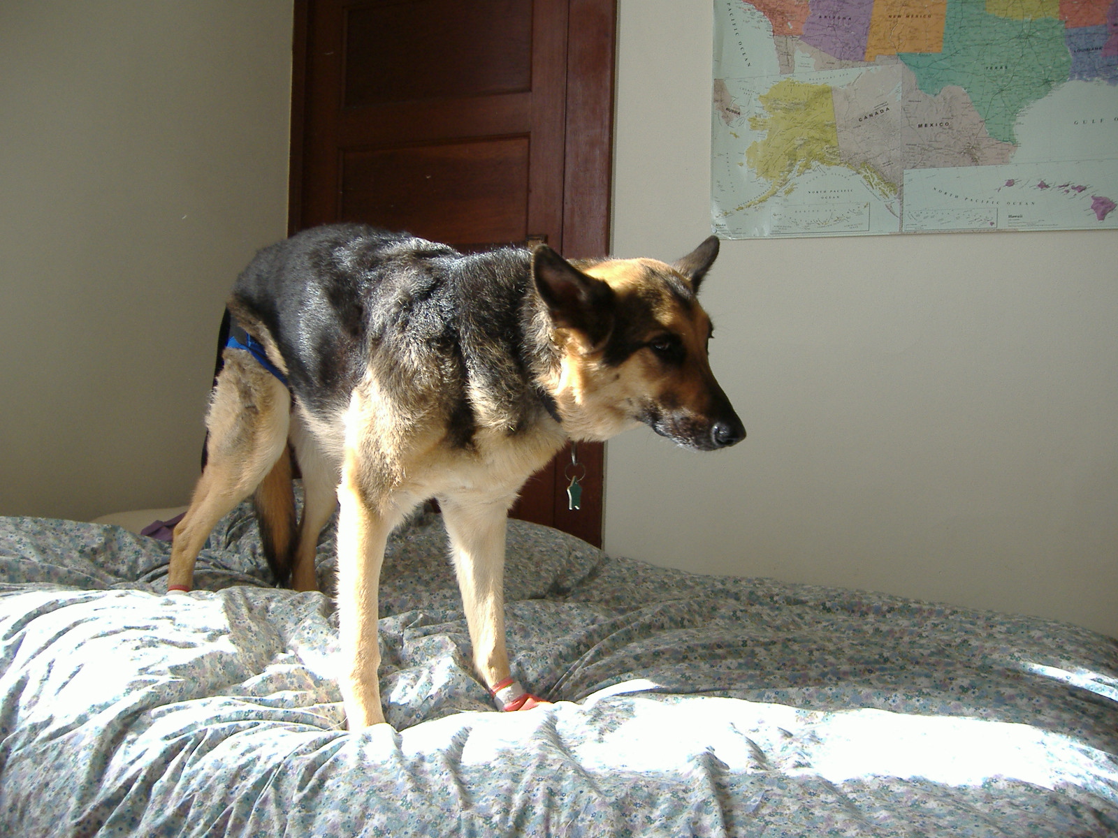 [Ali_Standing_6_28_08+004.jpg]