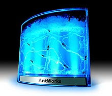 Ants work