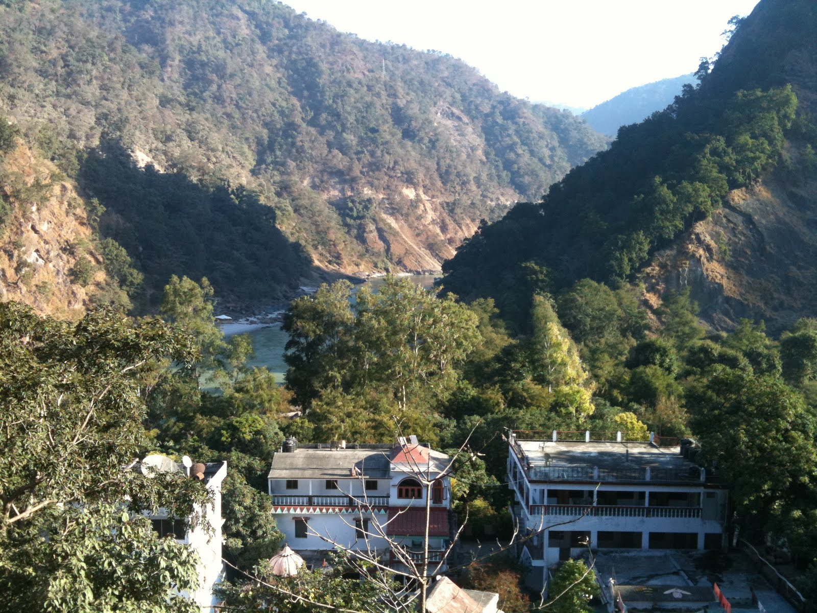 [IMG_0529[1]]