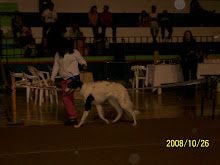 Fedra en la exposición organizada por el Chubut Can Club