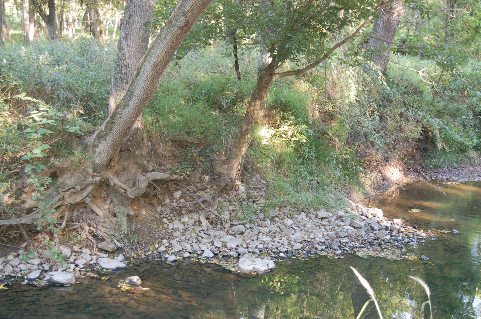 Rockhounding Adventures! Gold Mine Road Montgomery County Maryland