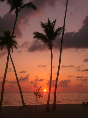 My Kitchen, My World…Jamaica!