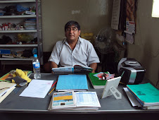 Profesor Rodolfo Mendoza Amaya
