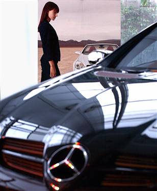 attract both male and female cu...