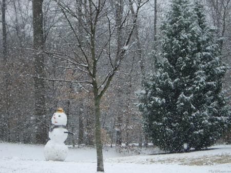 Snowy Christmas Desktop Wallpapers, Snowy Christmas Scenes