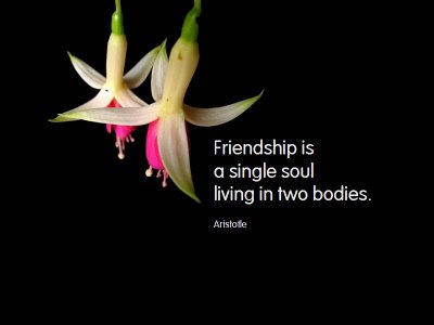 quotes for single. Friendship Day Quote Wallpapers, Friends Quote Wish