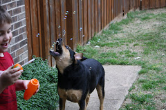 Blowing bubbles with Jake