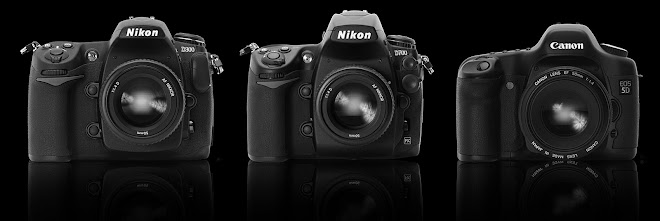 Compare Nikon D300, D700 & Canon 5D