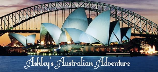 Ashley S Australian Adventure
