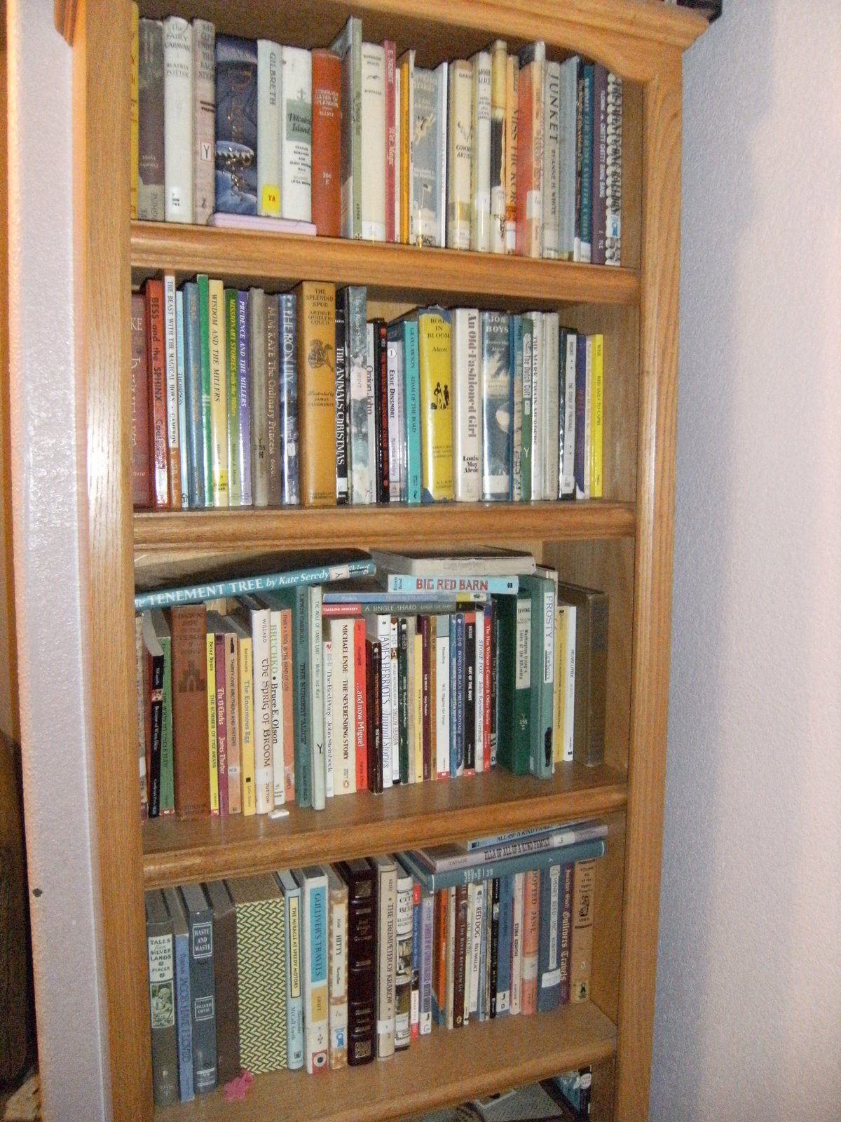 Teaching the Crew How I Organize My Books