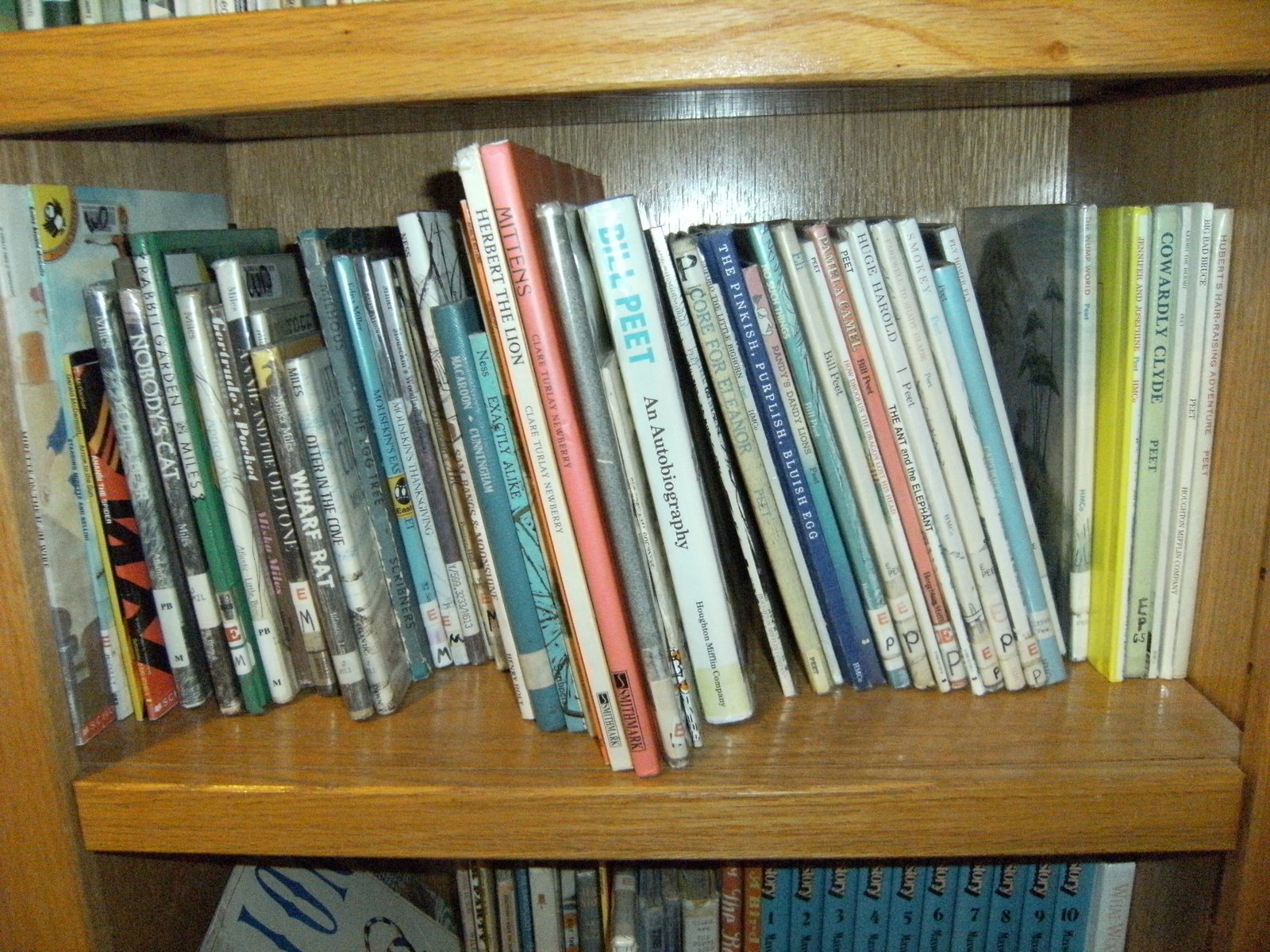 Teaching the Crew How I Organize My Books