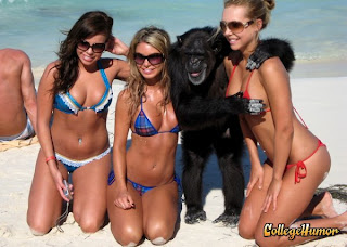 Monos? 6 cosas que no sabias de los monos