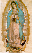 VIRGEN DE GUADALUPE