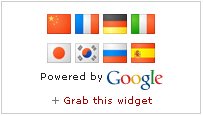 [google-translate-mini-flags3.jpg]
