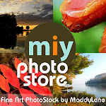 Miy Photo Store