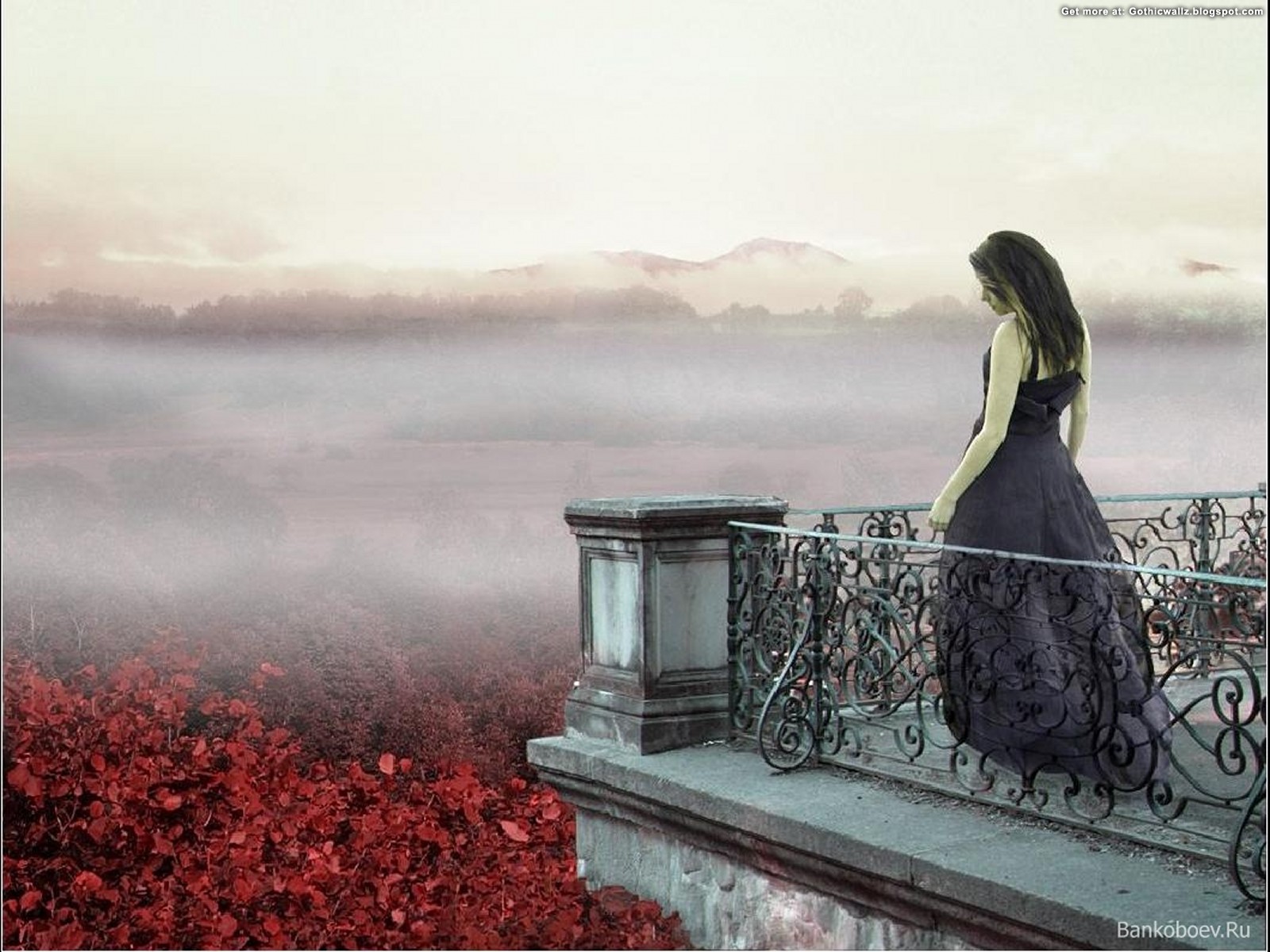 Looking From Balcony | Gothic Wallpaper Download