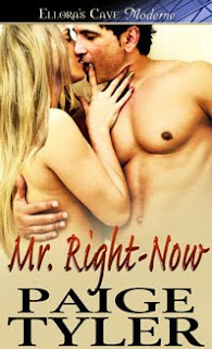 Guest Review: Mr. Right Now by Paige Tyler