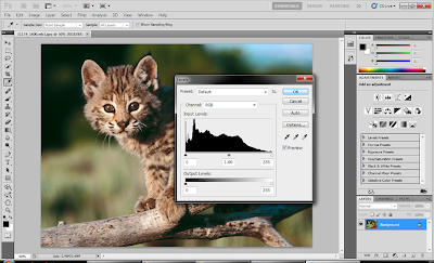 save as vector in photoshop cs5 mac save as vector in photoshop cs5 mac