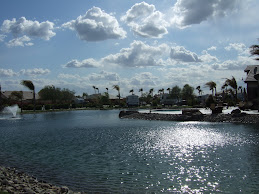 Palm Trees in Chowchilla