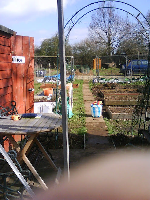 The Allotment