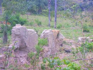 [Guaribas+Ruinas+de+Chico+Chicote+(11).JPG]