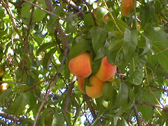 September picture of the month