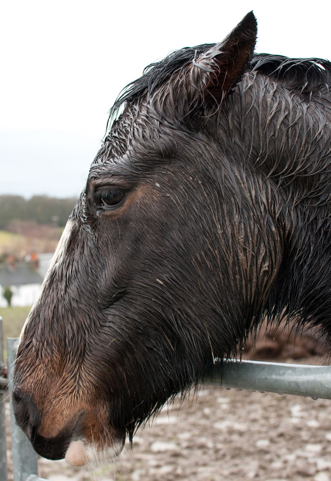 Running Matters January 2011