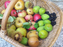 fruits d'automne
