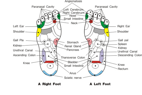 Detox-Through-the-Feet foot reflexology chart detox through the feet by traci vandermark ehow ...