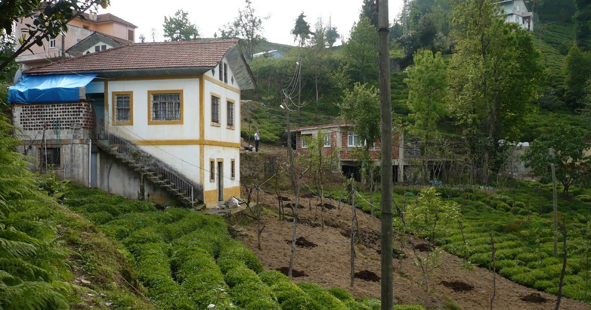 KÖŞE BUCAK AZAKLIHOCA KÖYÜ BLOG SİTESİ ! AZAKLIHOCA KÖYÜ SİZLERE AİT