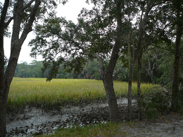 [Another+view+of+the+marsh.JPG]