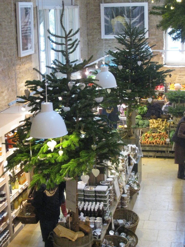 Living with ankan CHRISTMAS MARKET AT DAYLESFORD AND BOOKSIGNING WITH