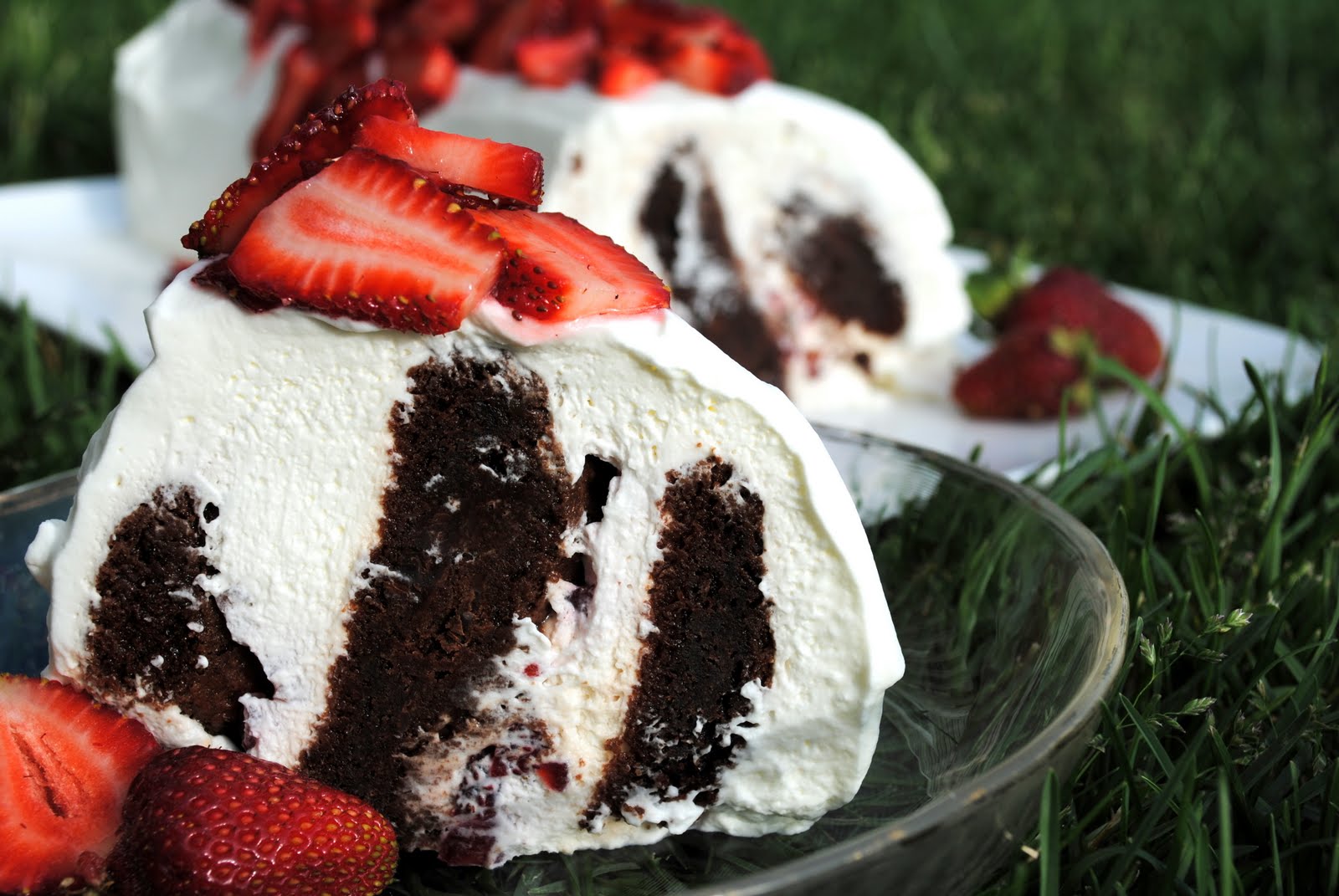 Take Another Bite Strawberry Chocolate Ripple Cake