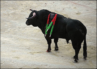Toro lidiado por José Tomás en Nimes