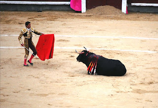 Uno de la Martelilla pleno de pujanza