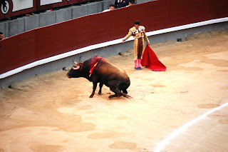 El Fundi con uno de Baltasar Ibán en Las Ventas el 09/05/2008, por Lupimon
