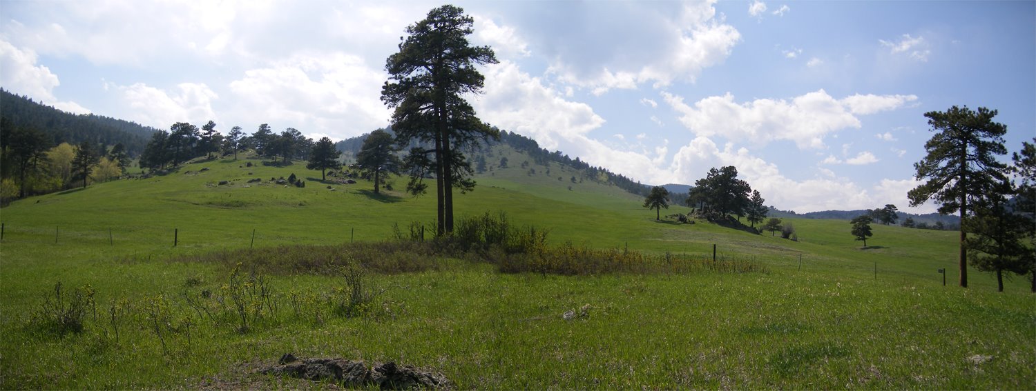 [4+Green+hill+panorama.jpg]