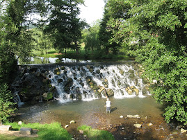 The river in my village