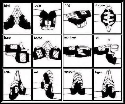 Jurus – Jurus Maut Pada Ninja | - airmatakehidupan