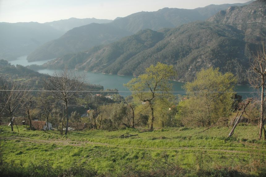 [DSC_7913.JPG]