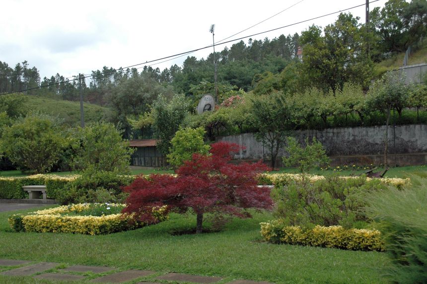 [DSC_6310.JPG]